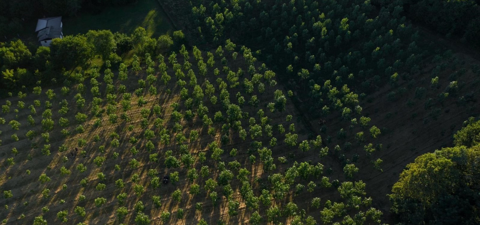 Trabalhar para um planeta mais verde.