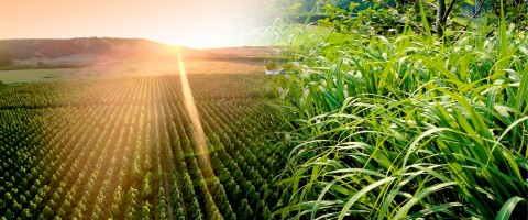 Comprometidos com um futuro sustentável